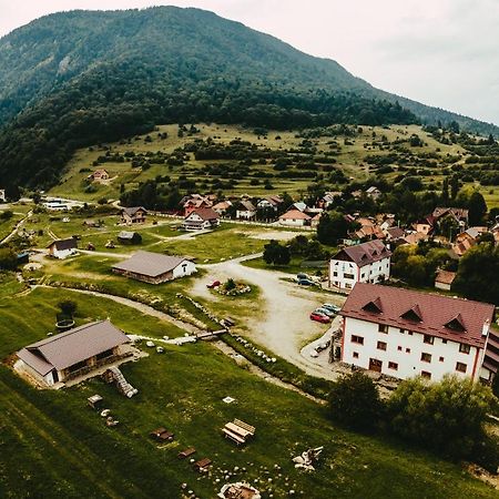 Pensiunea 3 Brazi Zărneşti Exteriör bild