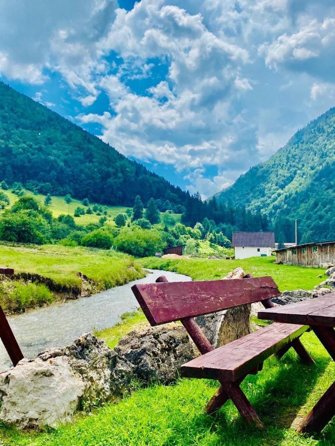 Pensiunea 3 Brazi Zărneşti Exteriör bild