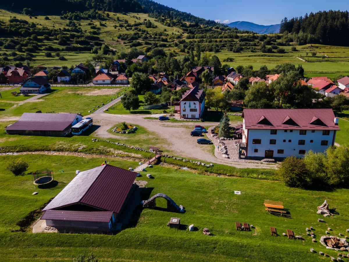 Pensiunea 3 Brazi Zărneşti Exteriör bild
