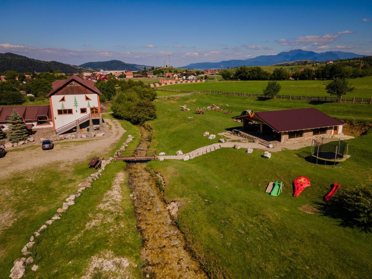 Pensiunea 3 Brazi Zărneşti Exteriör bild