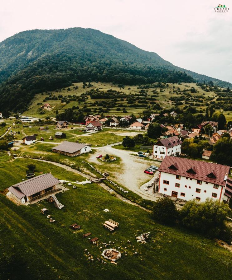 Pensiunea 3 Brazi Zărneşti Exteriör bild