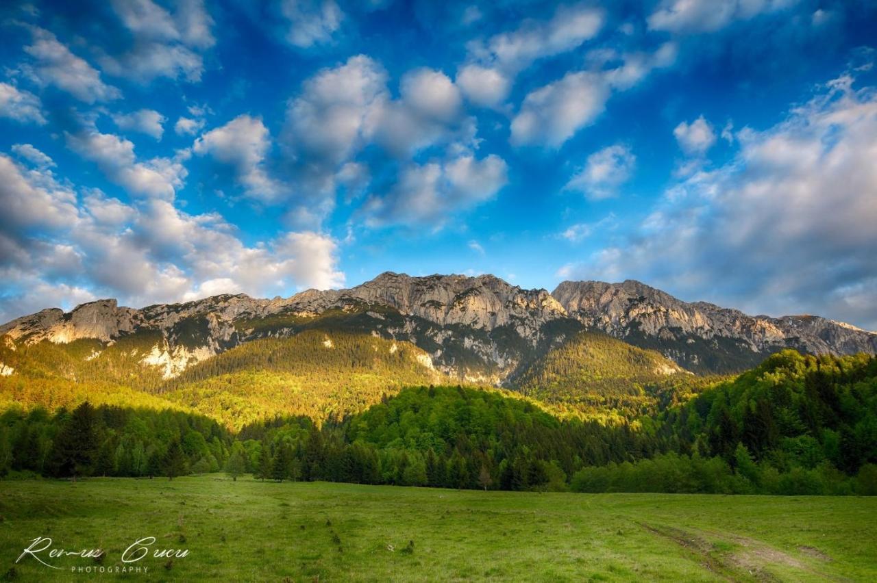 Pensiunea 3 Brazi Zărneşti Exteriör bild