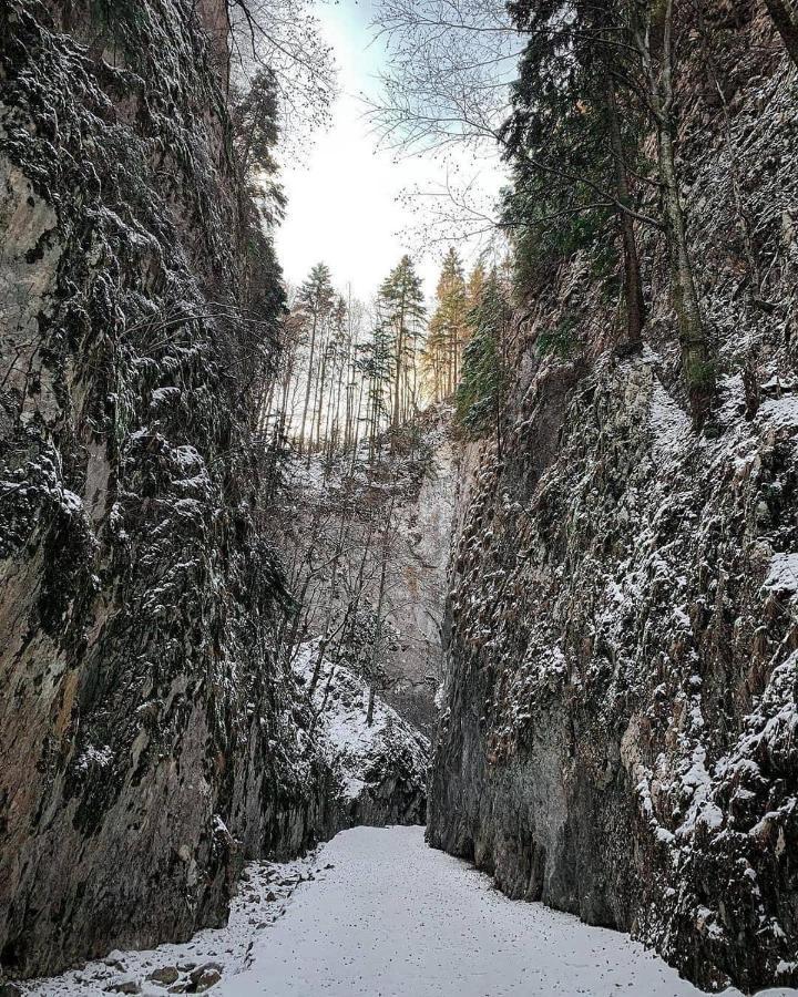 Pensiunea 3 Brazi Zărneşti Exteriör bild