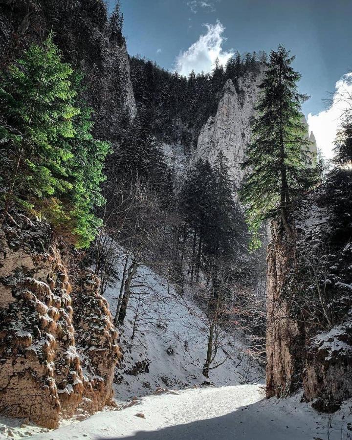 Pensiunea 3 Brazi Zărneşti Exteriör bild