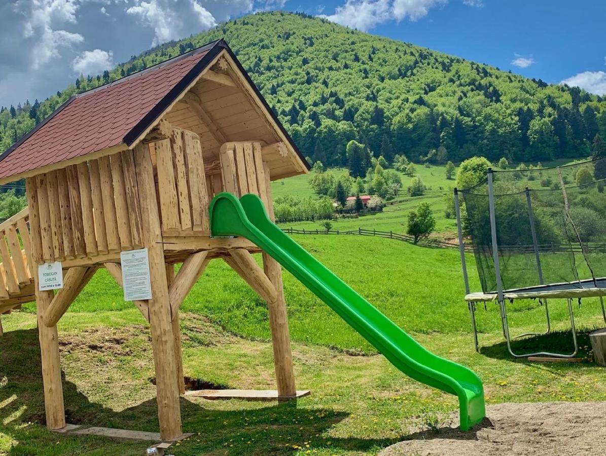 Pensiunea 3 Brazi Zărneşti Exteriör bild