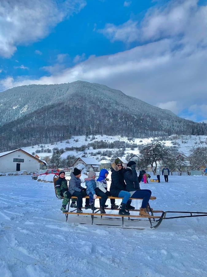 Pensiunea 3 Brazi Zărneşti Exteriör bild