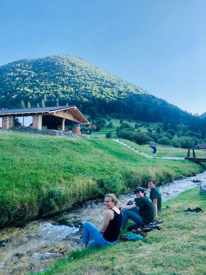 Pensiunea 3 Brazi Zărneşti Exteriör bild