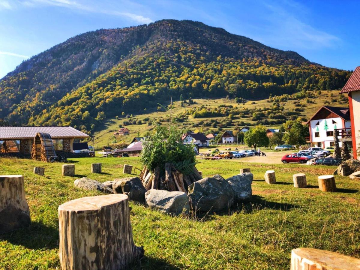 Pensiunea 3 Brazi Zărneşti Exteriör bild