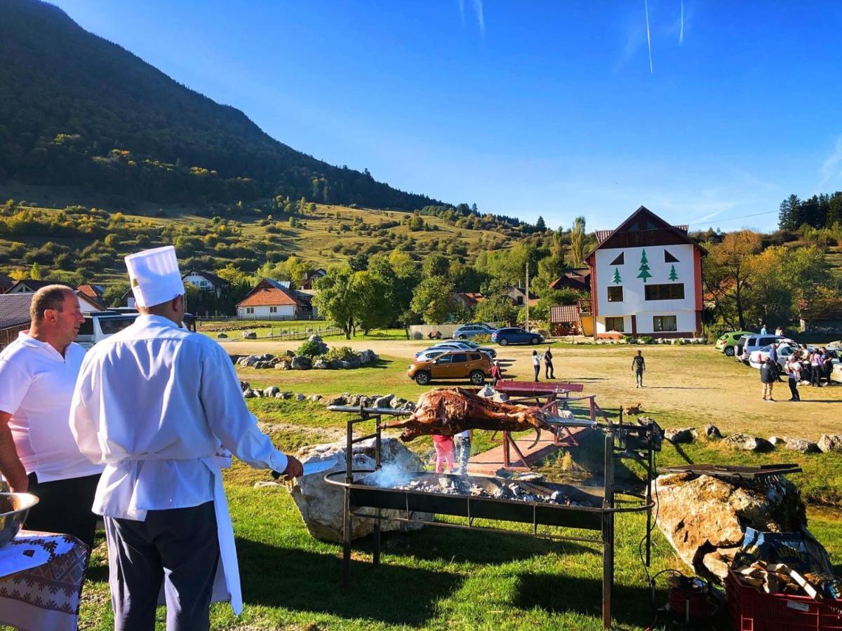 Pensiunea 3 Brazi Zărneşti Exteriör bild