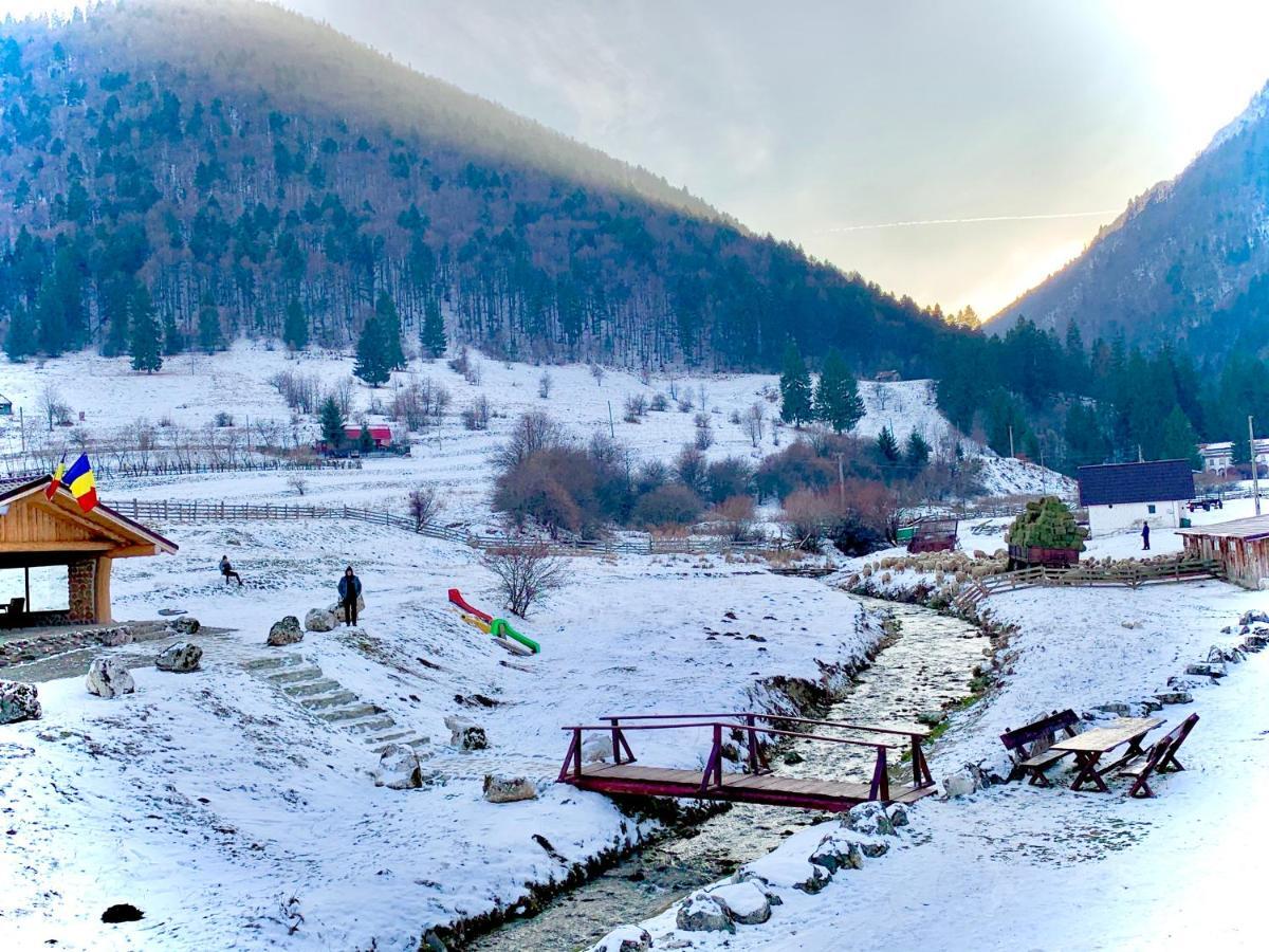 Pensiunea 3 Brazi Zărneşti Exteriör bild